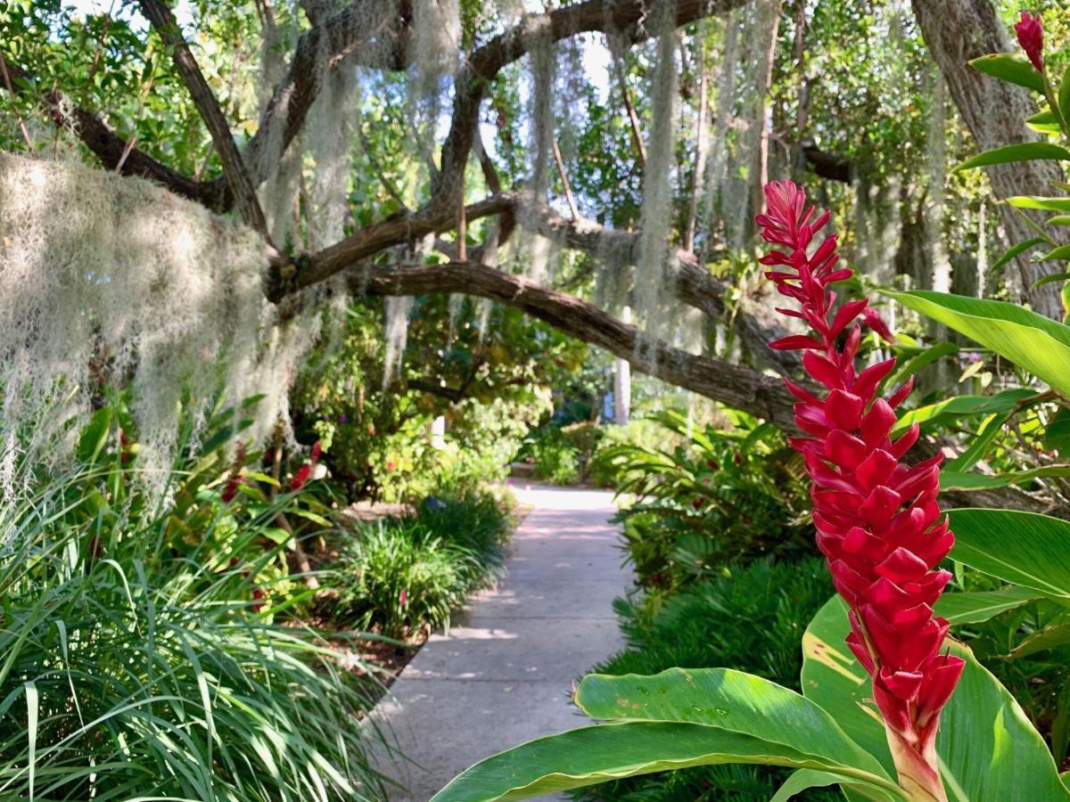 Leaward Isle Island Retreat Villa Key West Exteriör bild