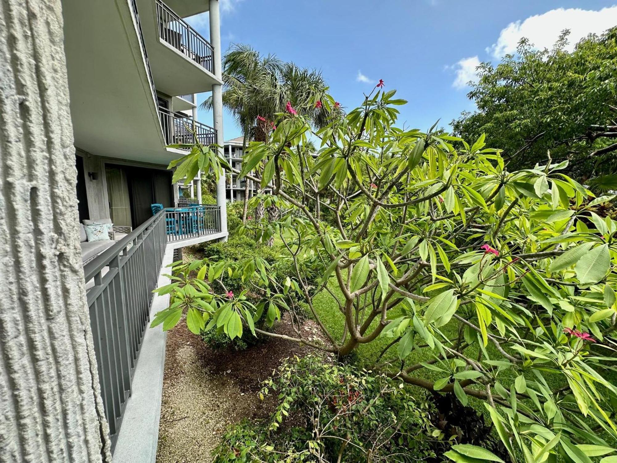 Leaward Isle Island Retreat Villa Key West Exteriör bild